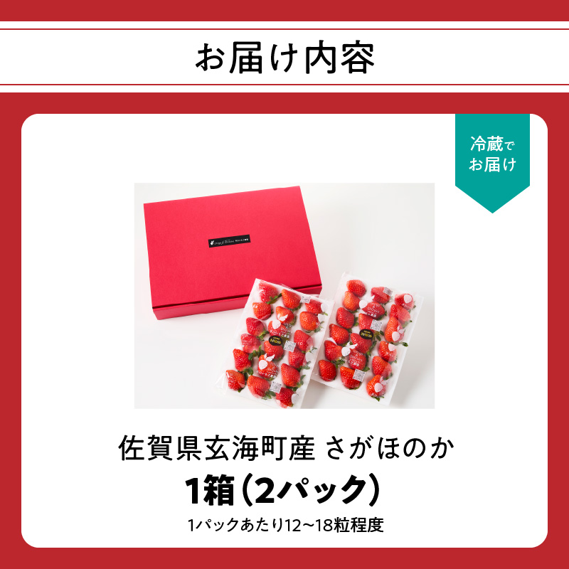 ★予約受付★平川いちご農園 佐賀県玄海町産いちご「さがほのか」2026年1月〜4月順次配送