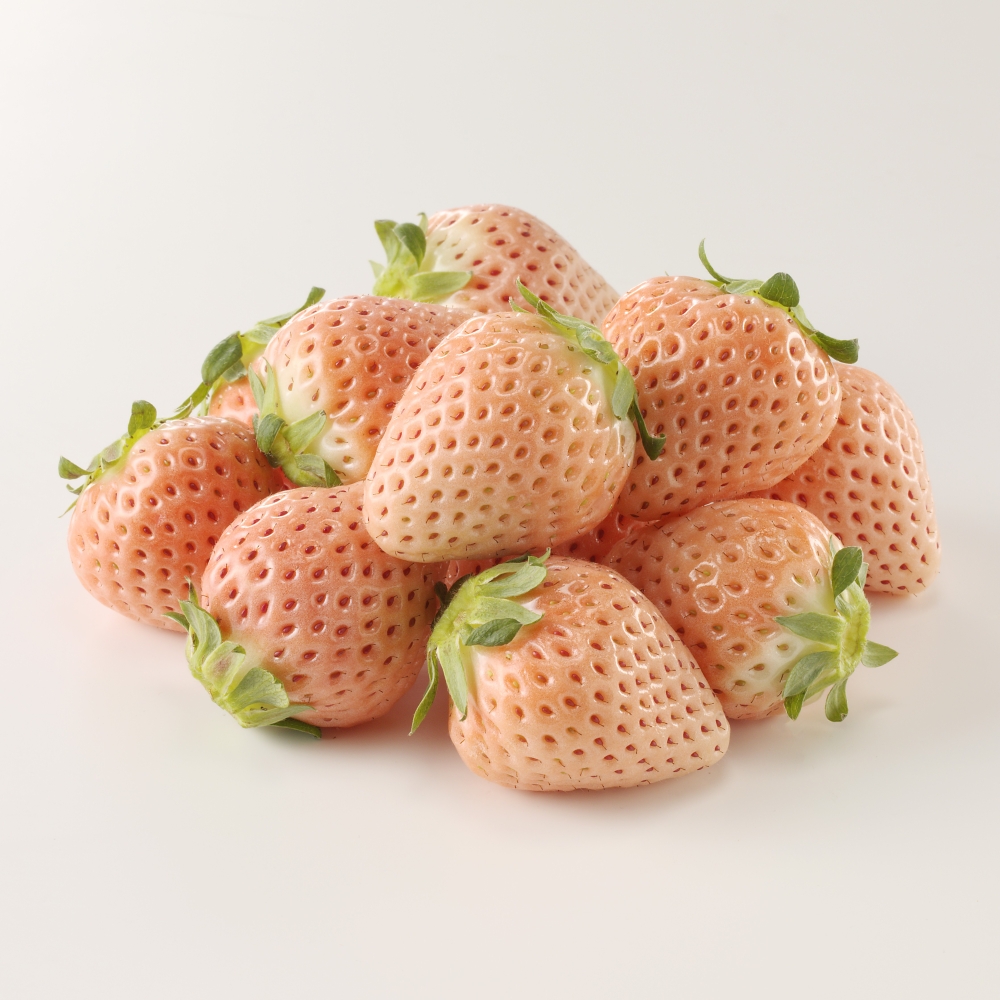 縲占ィ12蝗槭♀螻翫¢縲醍私豬キ逕コ繧医j縺ゥ繧雁ョ壽悄萓ソシ育ォケシ