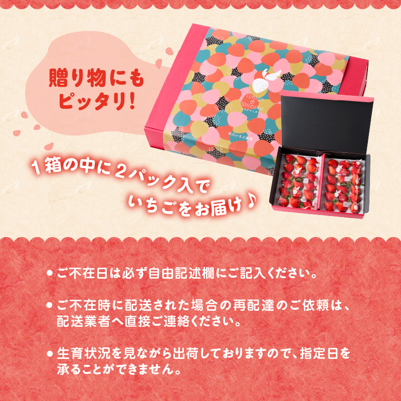 ★予約受付★平川いちご農園 佐賀県玄海町産いちご「さがほのか」2026年1月〜4月順次配送