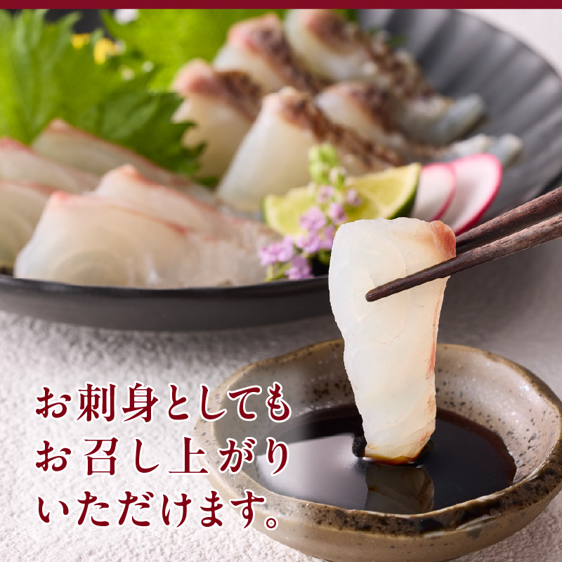 今夜は高級鯛しゃぶセット（10月配送）／ 穂州鯛 ブランド鯛 渡邉水産 しゃぶしゃぶ 鍋 サク 柵 湯引き 皮つき 松皮造り 鮮魚 真鯛 マダイ 鯛 タイ 鯛しゃぶ 刺身 魚 魚介 海鮮 養殖 国産 佐賀県 玄海町	