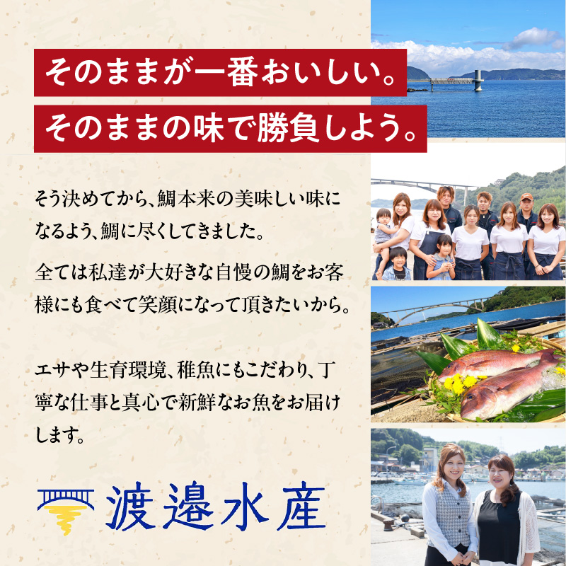 今夜は高級鯛しゃぶセット（10月配送）／ 穂州鯛 ブランド鯛 渡邉水産 しゃぶしゃぶ 鍋 サク 柵 湯引き 皮つき 松皮造り 鮮魚 真鯛 マダイ 鯛 タイ 鯛しゃぶ 刺身 魚 魚介 海鮮 養殖 国産 佐賀県 玄海町	