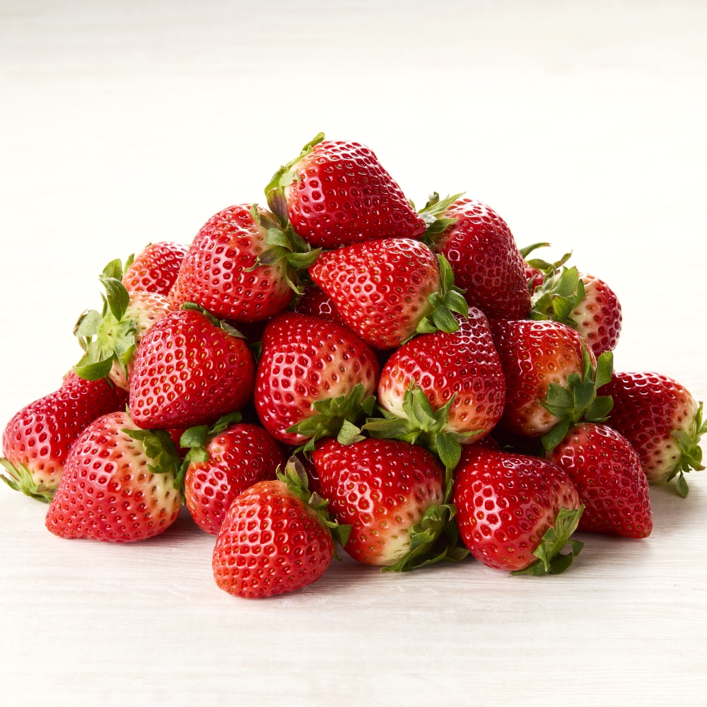 おすすめ定期便（12回）