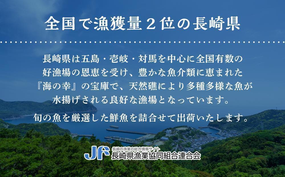 【3回 定期便】長崎県産 本マグロ中落ち 約600g（約200g×3P）