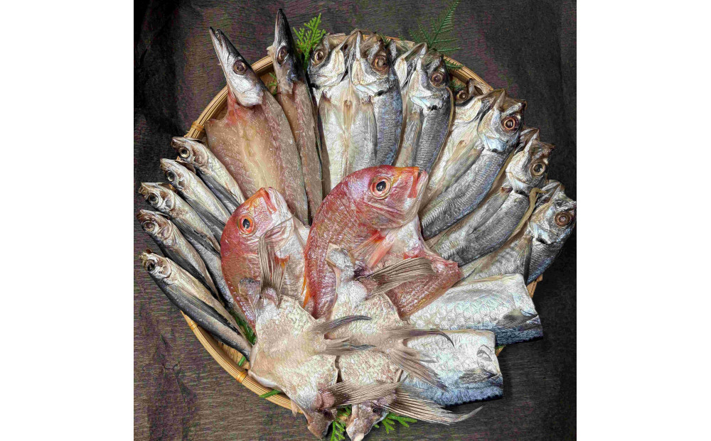 山道水産　長崎県産干物セット　尚（なお）【AE48】