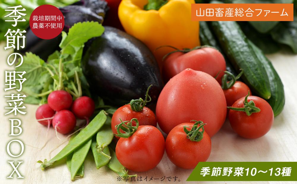 長崎県産　季節野菜 BOX 10〜13種 詰め合わせ＜山田畜産総合ファーム＞