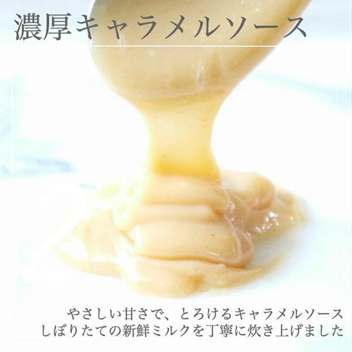 【AB992】【定期便／全3回】平戸ミルクの キャラメル ブリュレ 6種セット / 心優 −Cotoyu Sweets−