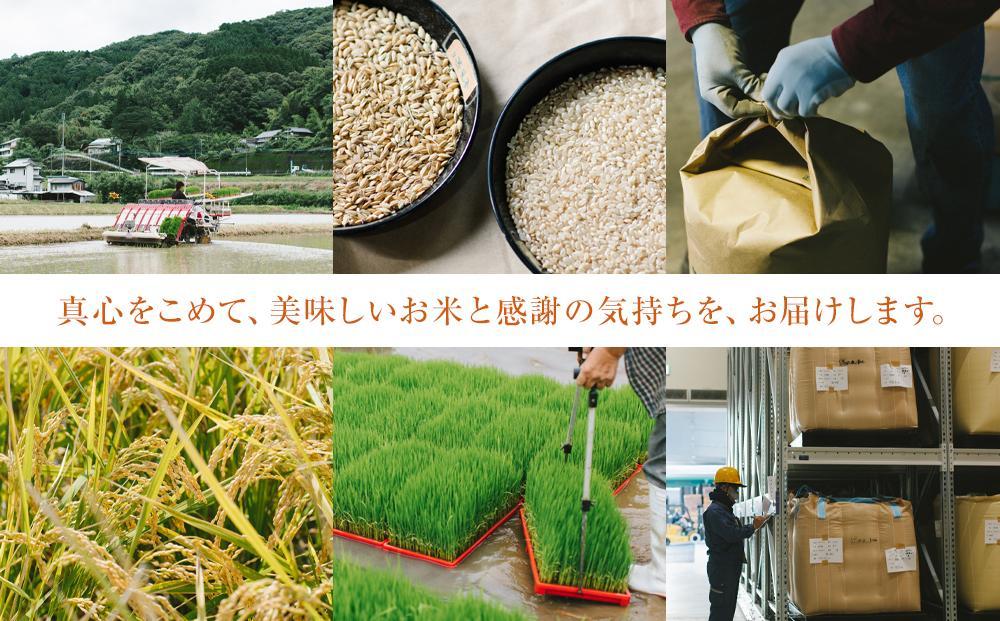 令和6年産 長崎県産 ひのひかり 10kg（5kg×2袋）セット