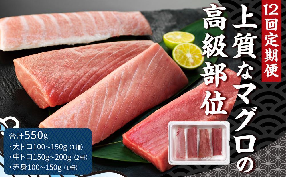 【12回 定期便】長崎県産 本マグロセット 計550g（大トロ・中トロ・赤身セット）