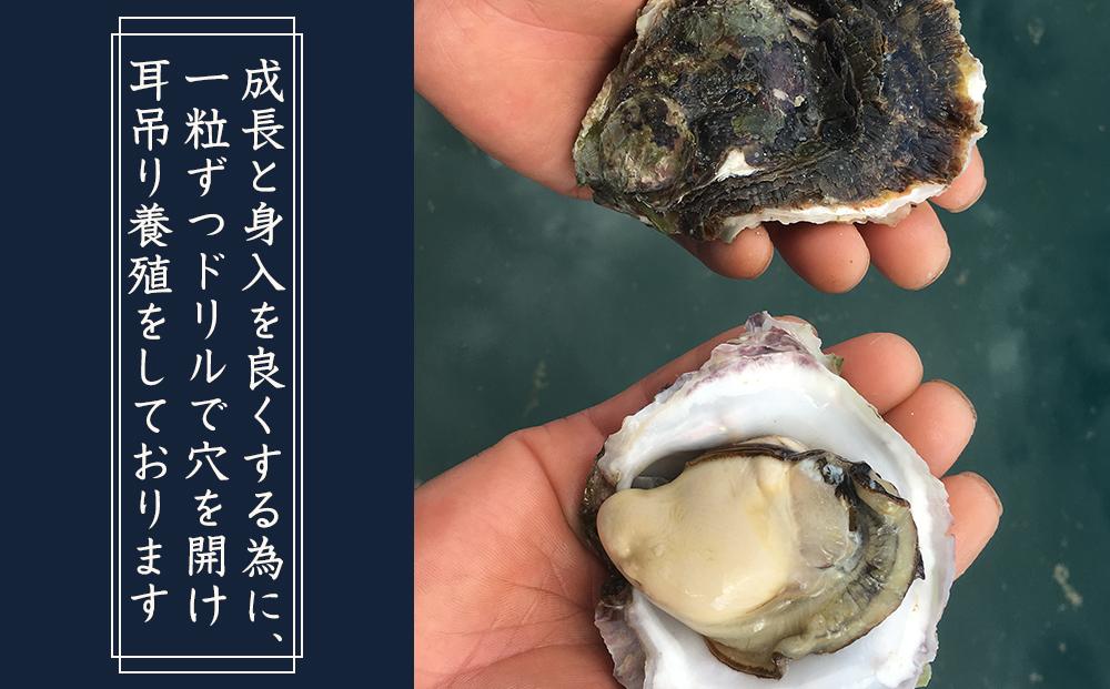 【先行予約 2026年3月下旬以降発送】長崎県五島列島産【超極濃プレミアム】岩牡蠣20個入（1個100g～150g×20）