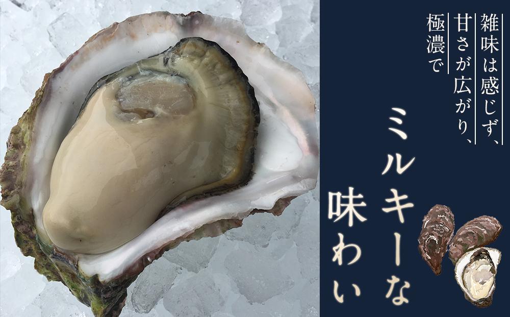 長崎県五島列島産【超極濃プレミアム】岩牡蠣10個入（1個150g～250g×10）