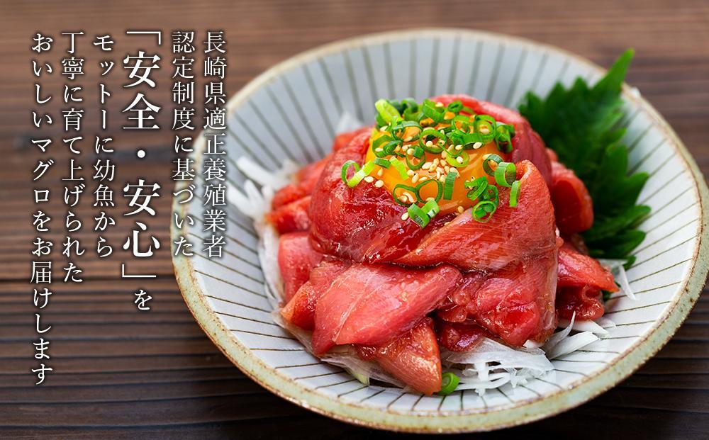 年内発送　長崎県産 本マグロ中落ち 約1.2kg（約200g×6パック）セット