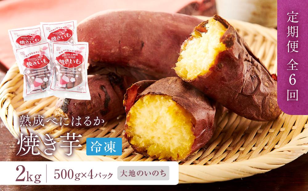 【定期便 全6回】蜜がたっぷり♪熟成べにはるか 焼き芋（冷凍）2kg（500ｇ×4P）＜大地のいのち＞