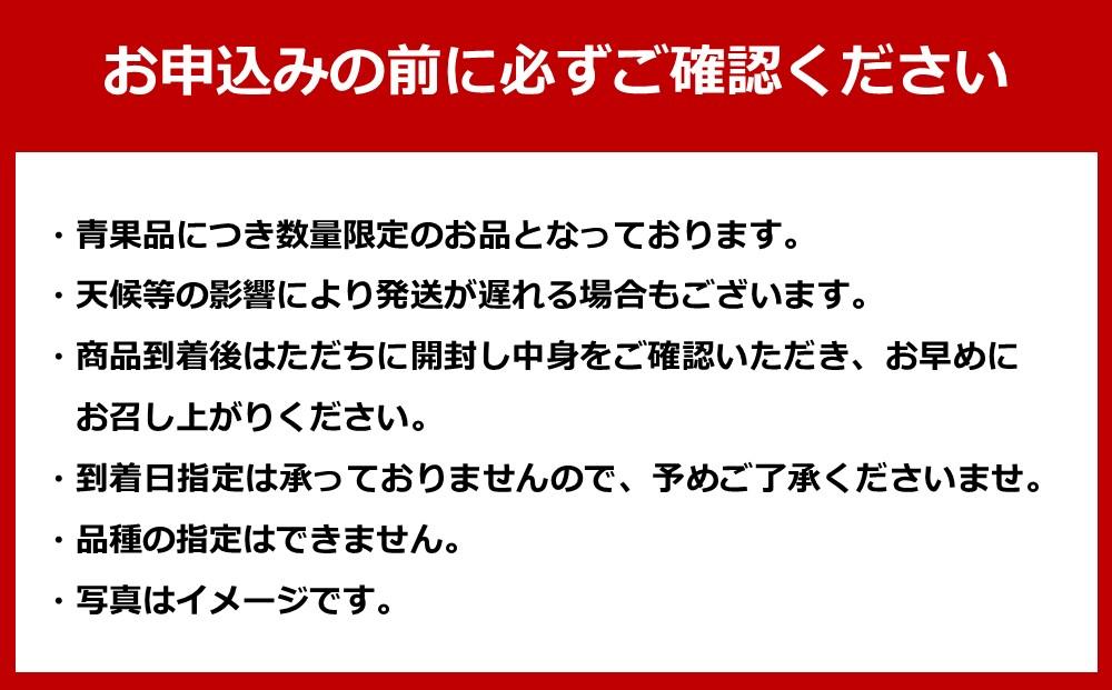 【先行予約】長崎県産　ハウス不知火 3L玉（約330〜380ｇ）6〜7玉