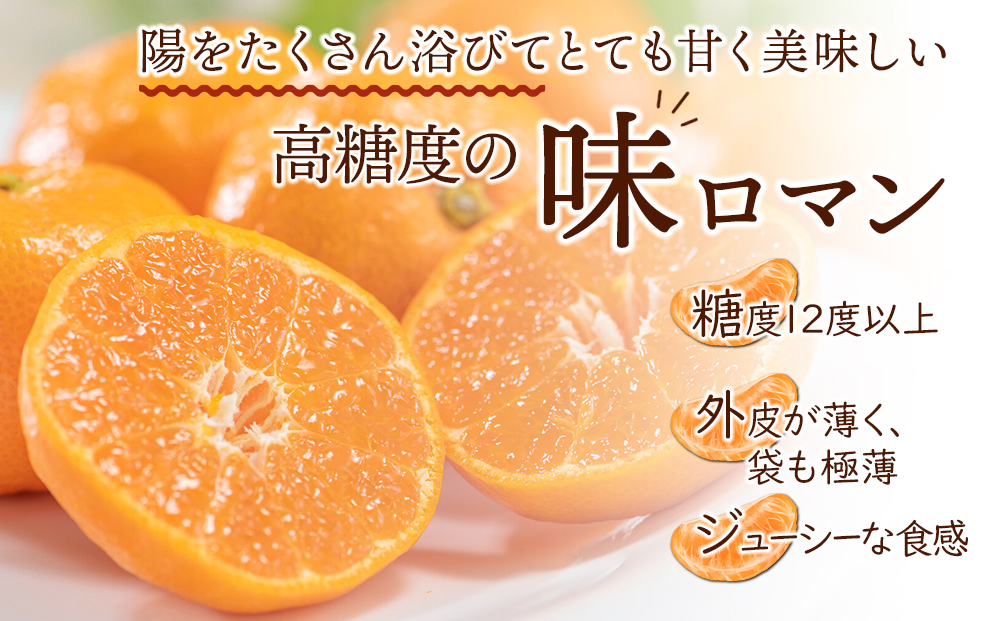 【糖度12度以上！】長崎県産 みかん 味ロマン 約10kg ＜期間限定／先行予約＞【2024年11月中旬以降順次発送】