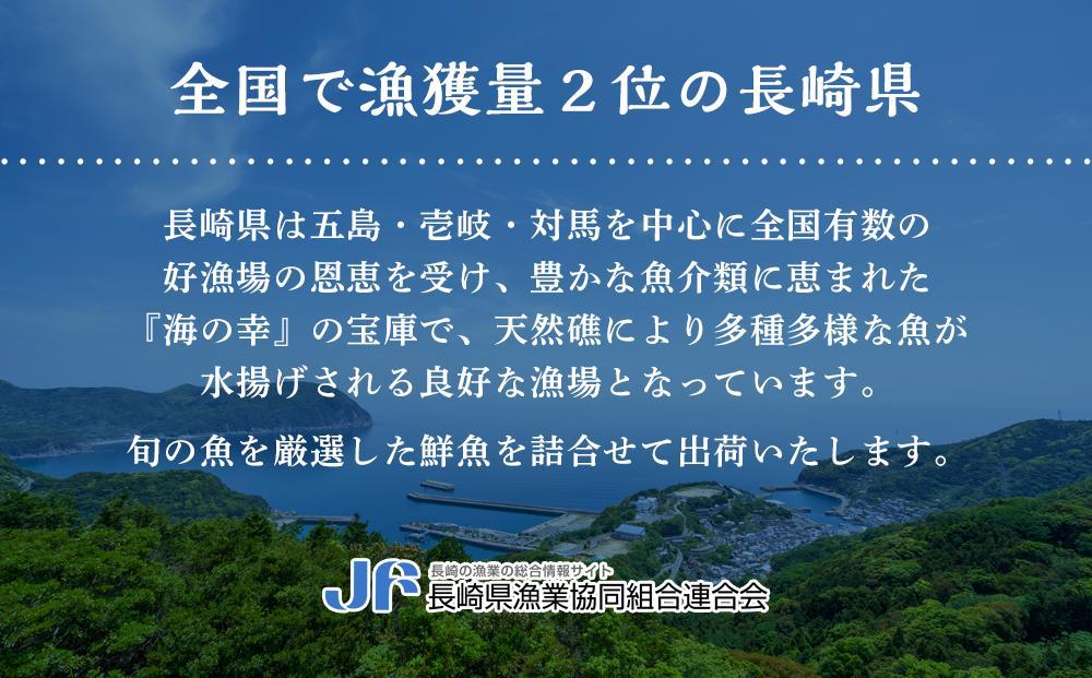 長崎県産無添加にぼし(【いりこ】背黒)　1.5Kg