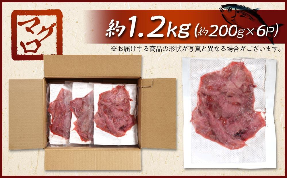 年内発送　長崎県産 本マグロ中落ち 約1.2kg（約200g×6パック）セット