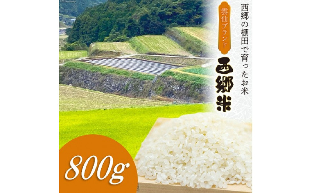 雲仙ブランド認定商品　「西郷米」白米　800g