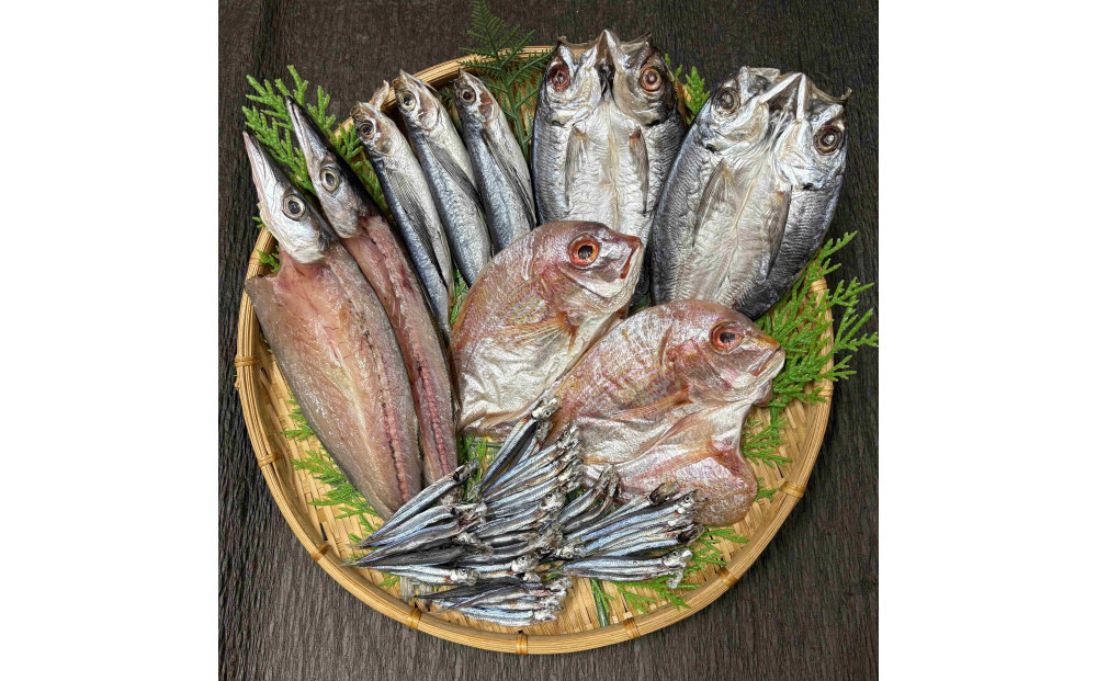 山鿰Žç£ãé·åŽçç£å¹²ç©ã»ãããéŽïŒããïŒãAE47ã