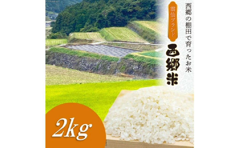 雲仙ブランド認定商品　「西郷米」白米　2kg