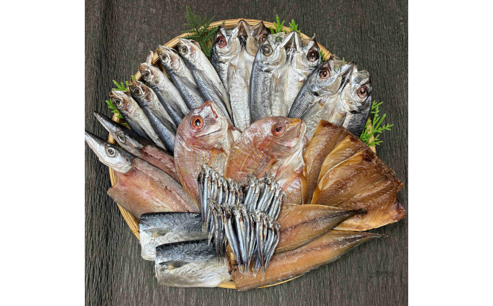 山道水産　長崎県産干物セット　紫（ゆかり）【AE46】