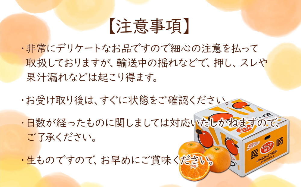 【糖度12度以上！】長崎県産 みかん 味ホープ 約10kg＜期間限定／先行予約＞【2024年11月中旬以降順次発送】