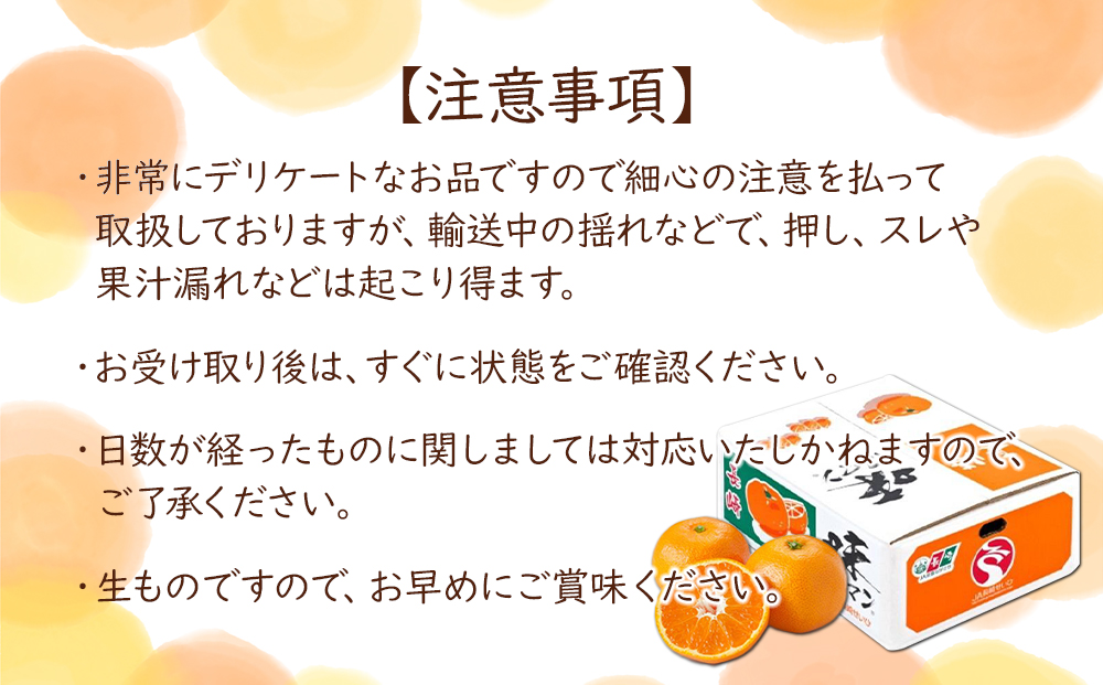 【糖度12度以上！】長崎県産 みかん 味ロマン 約10kg ＜期間限定／先行予約＞【2024年11月中旬以降順次発送】