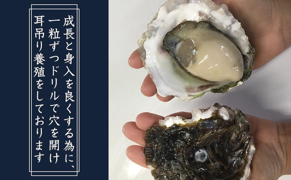 【先行予約 2026年3月下旬以降発送】長崎県五島列島産【超極濃プレミアム】岩牡蠣10個入（1個150g～250g×10）