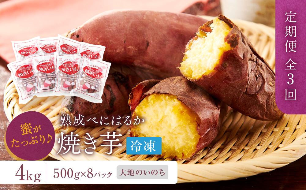 【定期便 全3回】蜜がたっぷり♪熟成べにはるか 焼き芋（冷凍）4kg（500ｇ×8P）＜大地のいのち＞