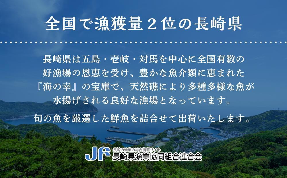 【12回 定期便】長崎県産 本マグロ 中トロ・赤身セット 450g