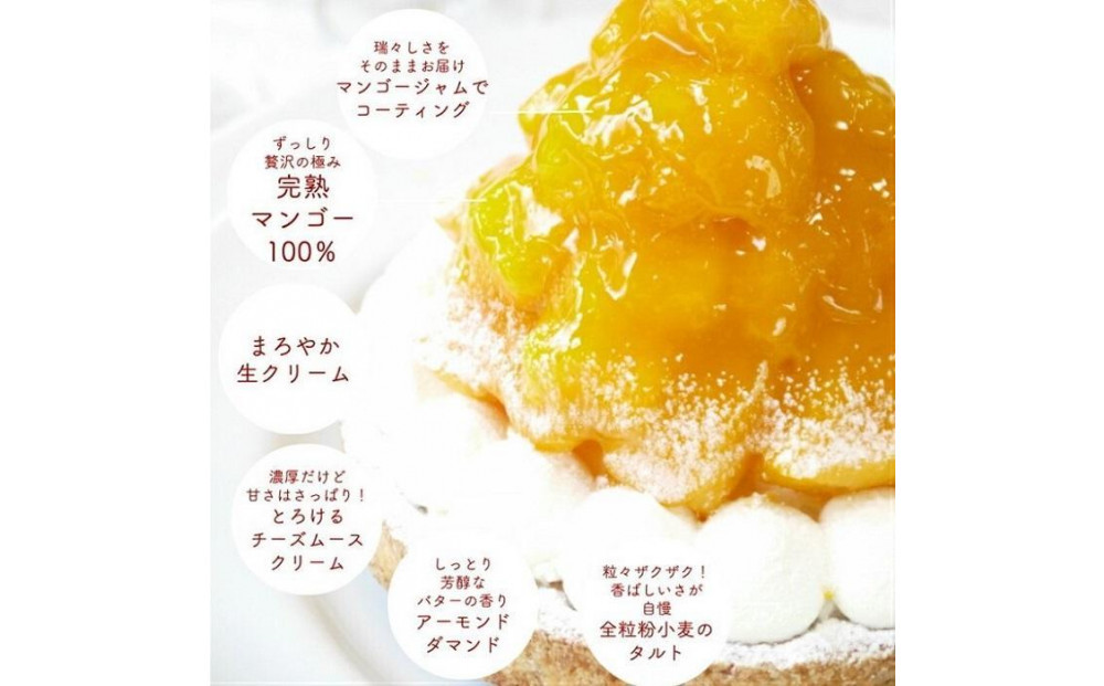 完熟マンゴーチーズタルト 1ホール(12cm・2～4人用) 長崎県/心優-Cotoyu