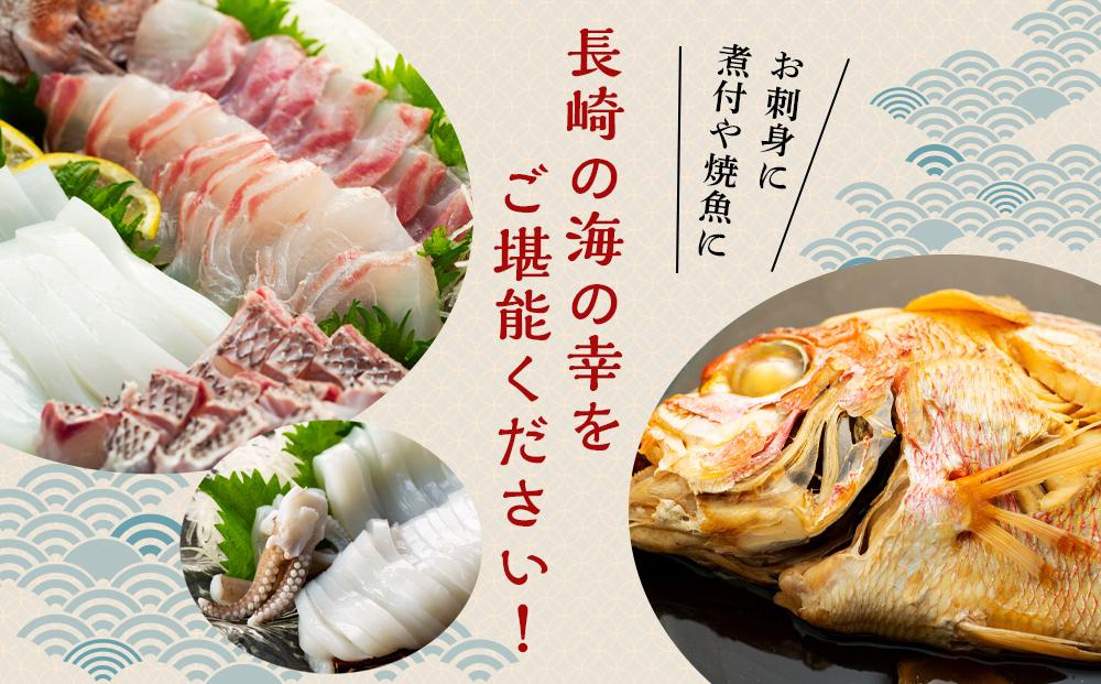 長崎鮮魚セット（梅）