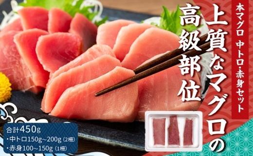 【上質なマグロの高級部位】本マグロ 中トロ・赤身セット 450g