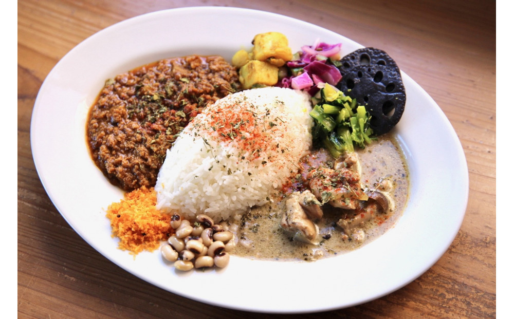 カレーライフの冷凍スパイスカレー2種 計5食セット