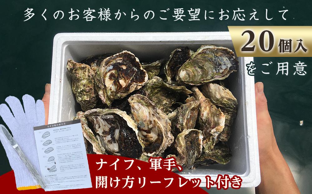 長崎県五島列島産【超極濃プレミアム】岩牡蠣20個入（1個100g～150g×20）