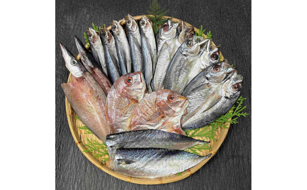 山道水産   長崎県産干物セット　典（つかさ）【AE45】