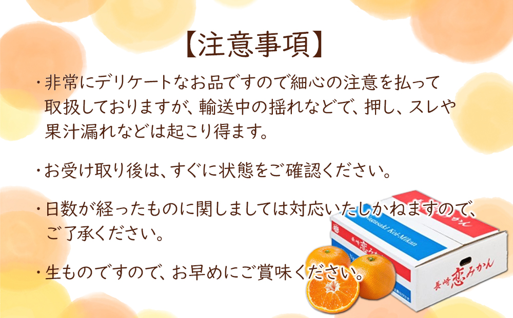 長崎恋みかん 5kg＜期間限定／先行予約＞【2024年11月中旬以降順次発送】