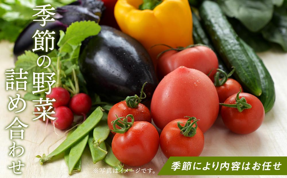長崎県産　季節の野菜BOX【産直松吉】