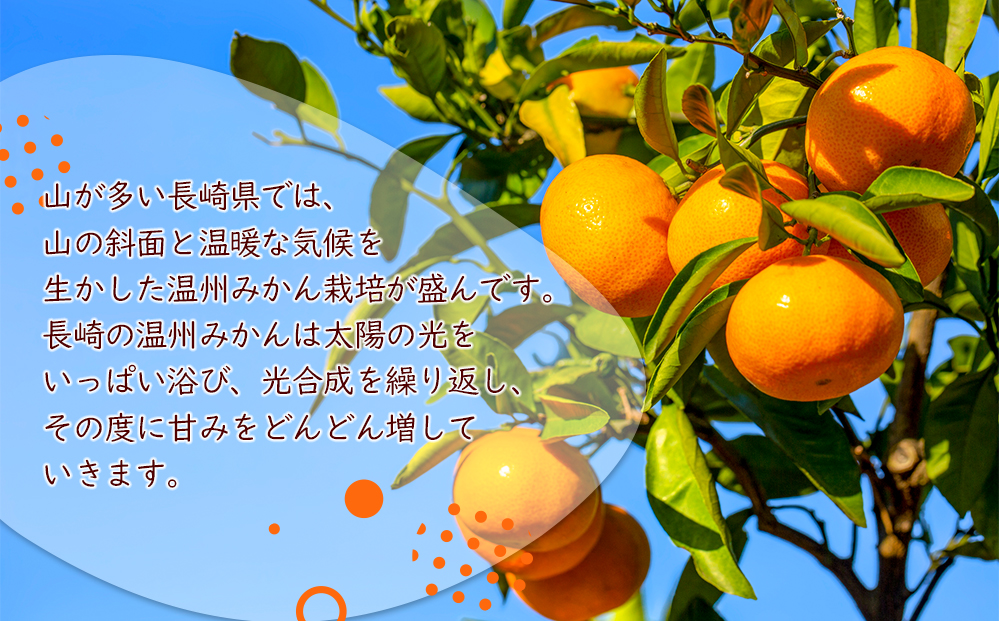 ã¿ãããžã¥ãŒã¹ 100ïŒ
200mlÃ36æ¬ èš7.2L ã¹ãã¬ãŒãã¿ãã é·åŽïŒé·åŽçç£ã¿ããææ±100ïŒ
ïŒ
