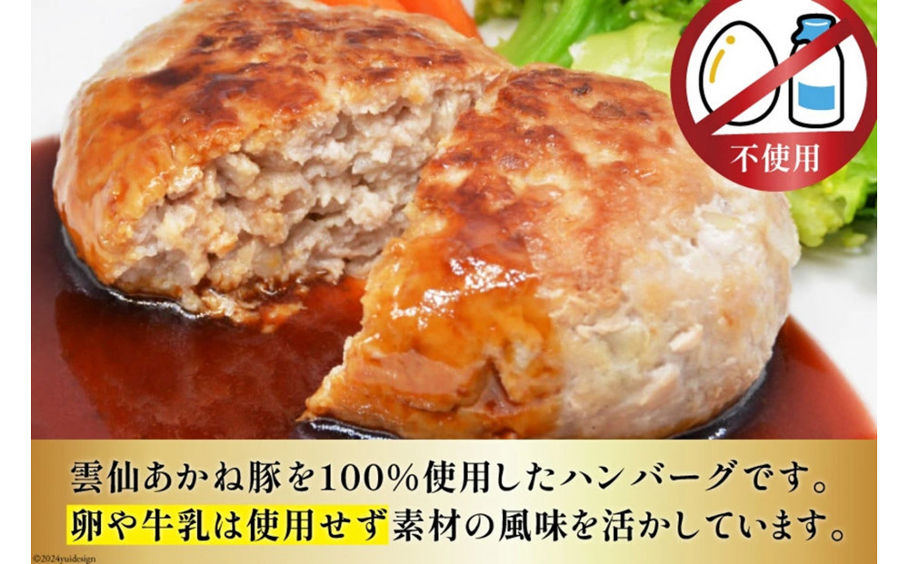 雲仙あかね豚　ハンバーグ