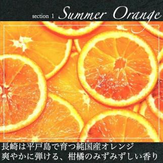 【大人なビターチョコレート】サマーオレンジ オランジェット 2セット / 心優-Cotoyu Sweets-