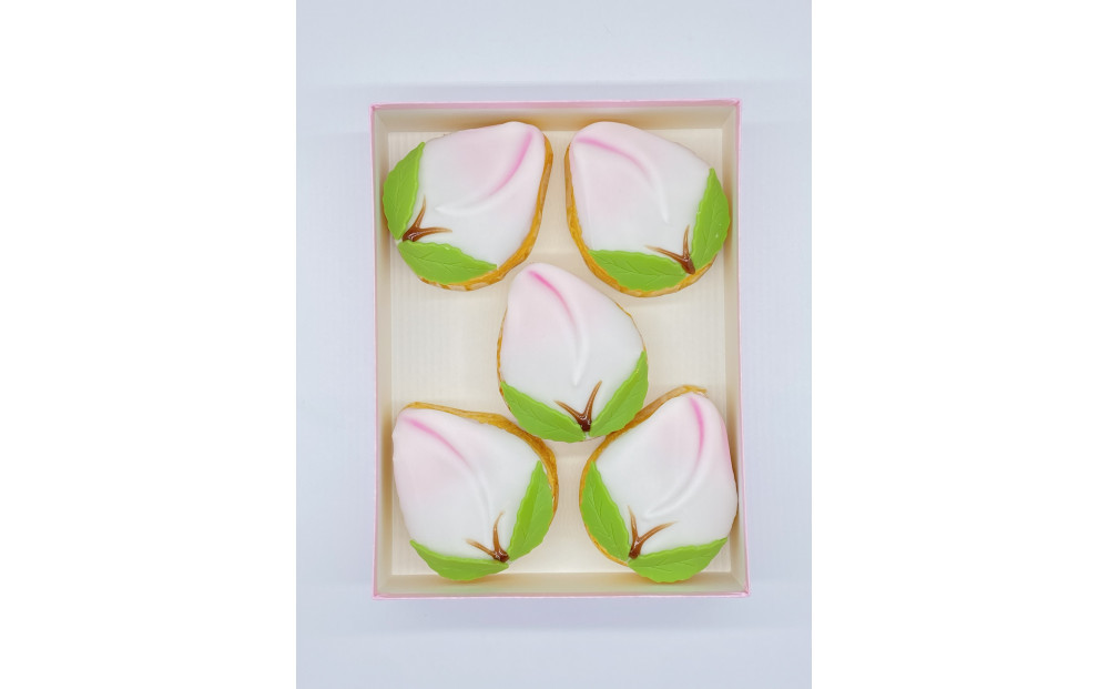 雪屋の長崎縁起菓子「桃カステラ５個入り」【2027年2月中旬頃お届け】