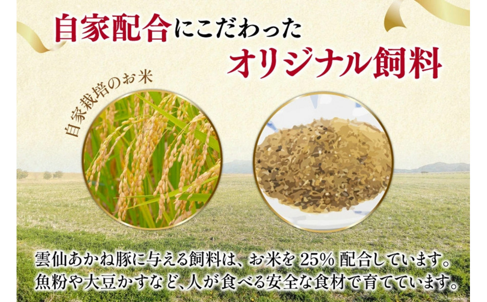 雲仙あかね豚　ハンバーグ