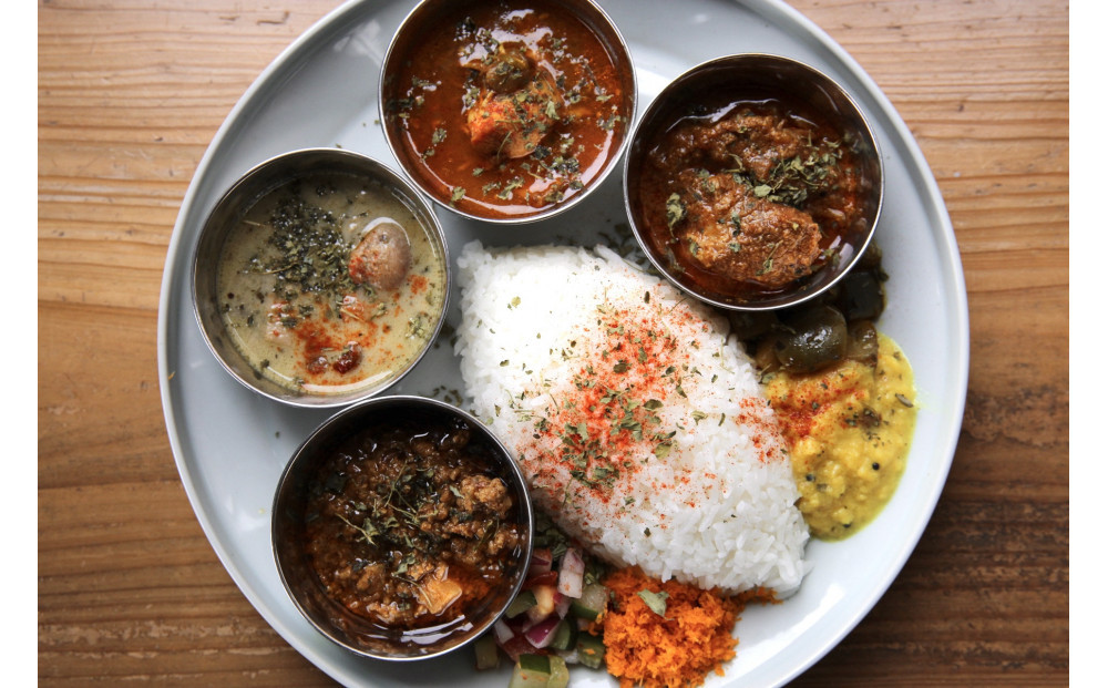 カレーライフの冷凍スパイスカレー4種 計9食セット