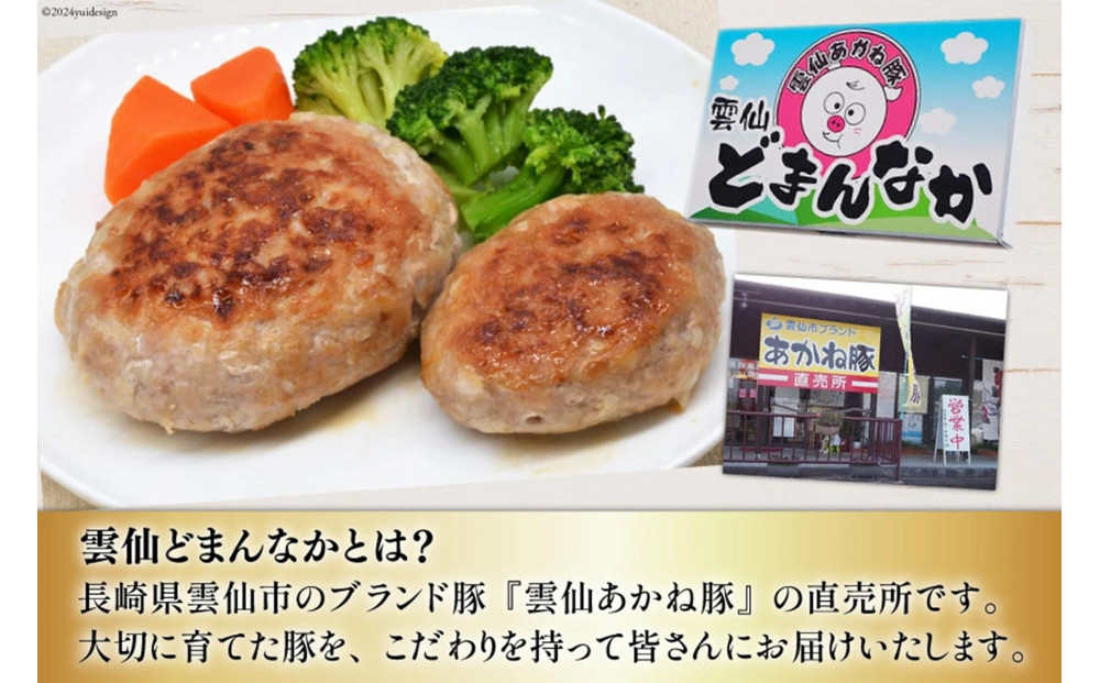 雲仙あかね豚　ハンバーグ