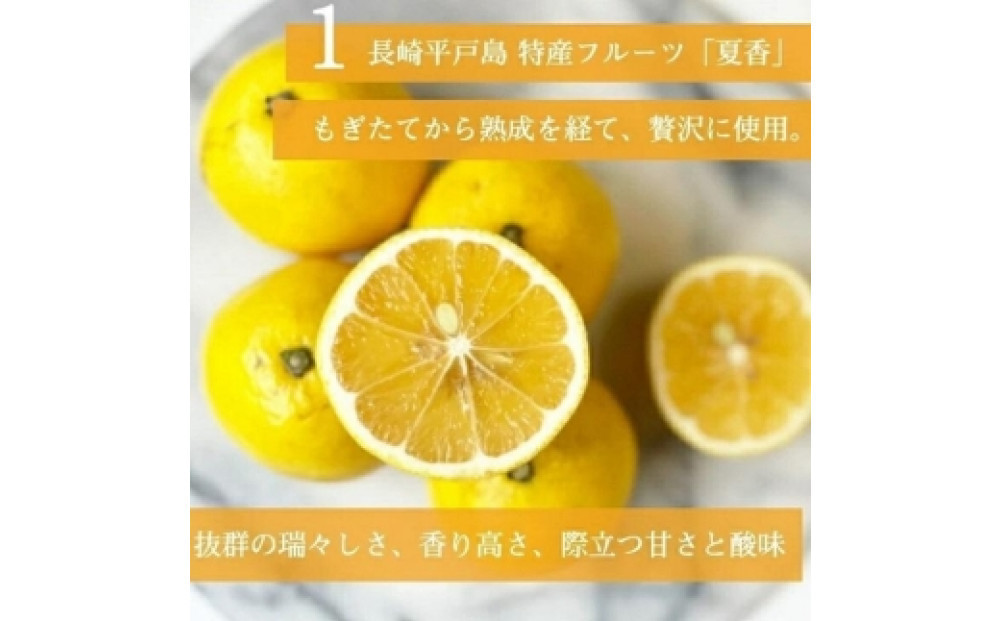 ＜5～6月末発送＞平戸特産夏香チーズタルト 1ホール(12cm・2～4人用) 長崎県/心優-CotoyuSweets-