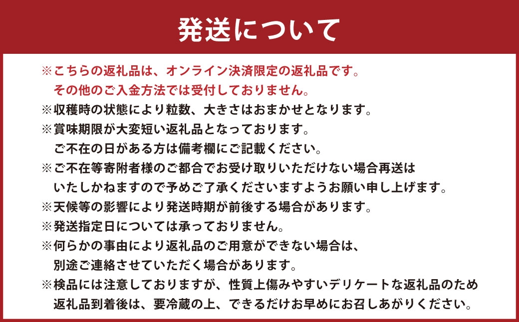 いちご 「 さちのか 」 約1kg（500g×2箱） 【2027年1月上旬～3月上旬出荷予定】 果物 くだもの 果実 苺 イチゴ フルーツ 果肉 国産 長崎県産 ジューシー 甘み コク 爽やか ビタミンC 酸味