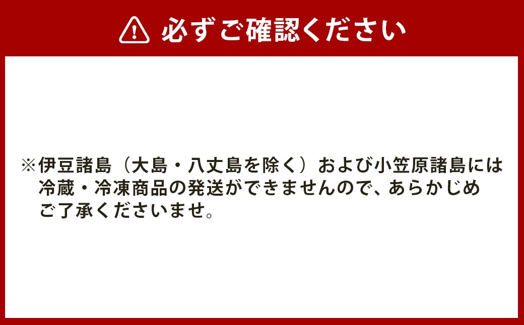 【全6回定期便】《具材付》長崎冷凍ちゃんぽん 総計60食 (10食×6回) ／ 長崎ちゃんぽん ちゃんぽん チャンポン 麺 麺類 スープ 具付き 長崎名物 ご当地 ひふみ 長崎県 長崎