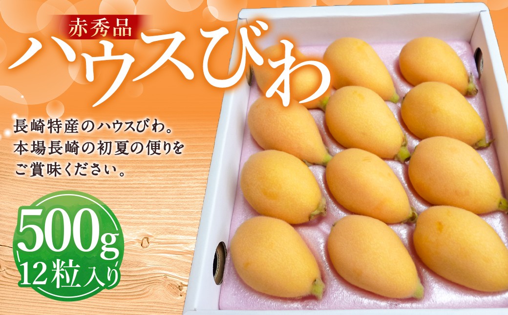 赤秀品 ハウス びわ 500g ( 化粧箱入り ) フルーツ 果物 くだもの ビワ 【2025年4月発送】