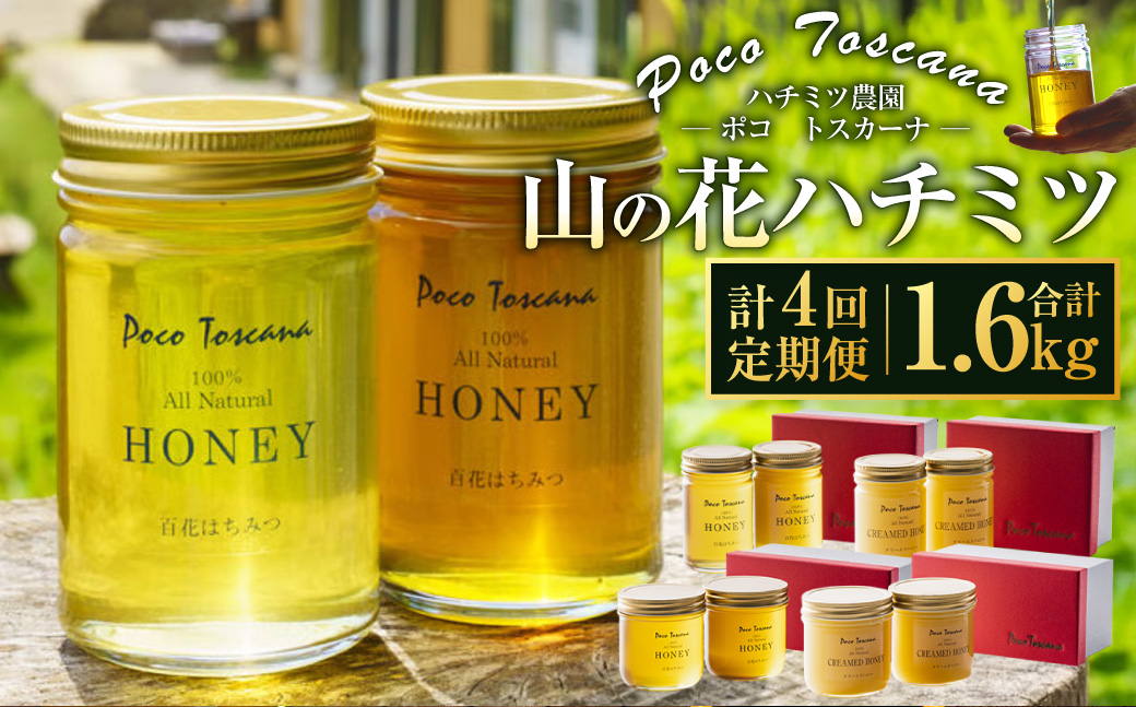 【年4回定期便(1月・4月・7月・10月配送)】山の花 ハチミツ 計1.6kg (200g瓶×2本セット×4回) 蜂蜜 はちみつ  リキッドハニー ハニー