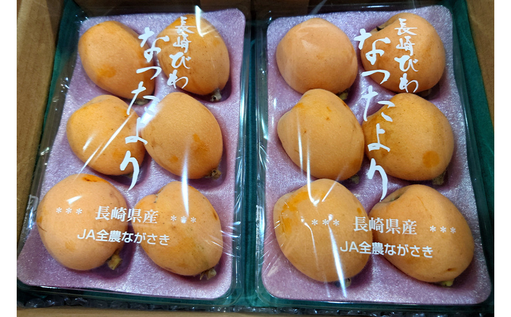 長崎産 特選 露地びわ「なつたより」L玉 12個入り 【2025年5月下旬〜6月上旬発送予定】 ／ 国産 果物 くだもの フルーツ 枇杷 ビワ 贈答 産地直送 化粧箱 長崎県 長崎市